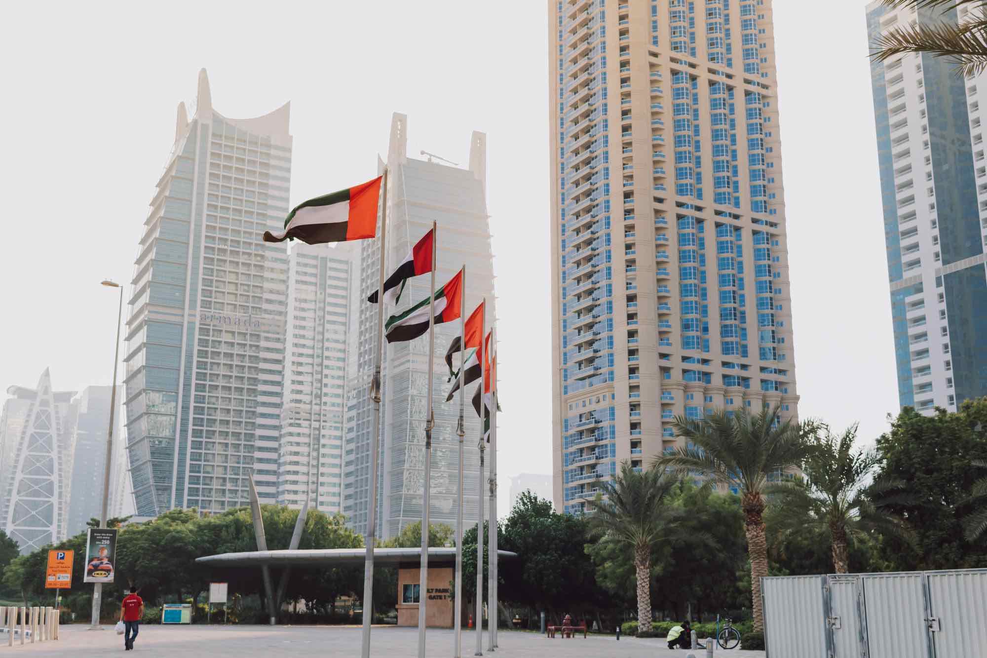 الإمارات تعتمد 71 نشاطاً اقتصادياً جديداً للعمل بالمناطق الزراعية بموافقة نائب الرئيس